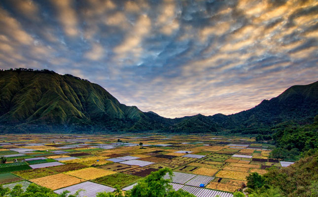 2024文旅部中秋节假期出游提示 景区合理开放票务系统插图1 电子订票