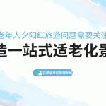 子女远程守护，爸妈自在畅游：智慧旅游如何解决&ldquo;银发旅行&rdquo;的安心难题？缩略图